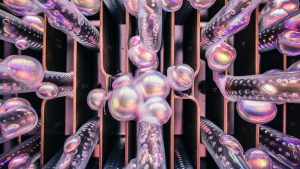 prize money distribution details